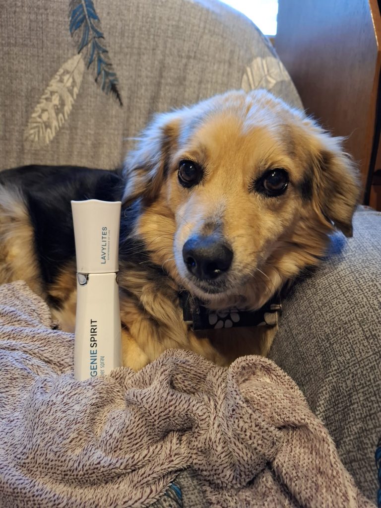 Kata stellt Genie Spirit vor