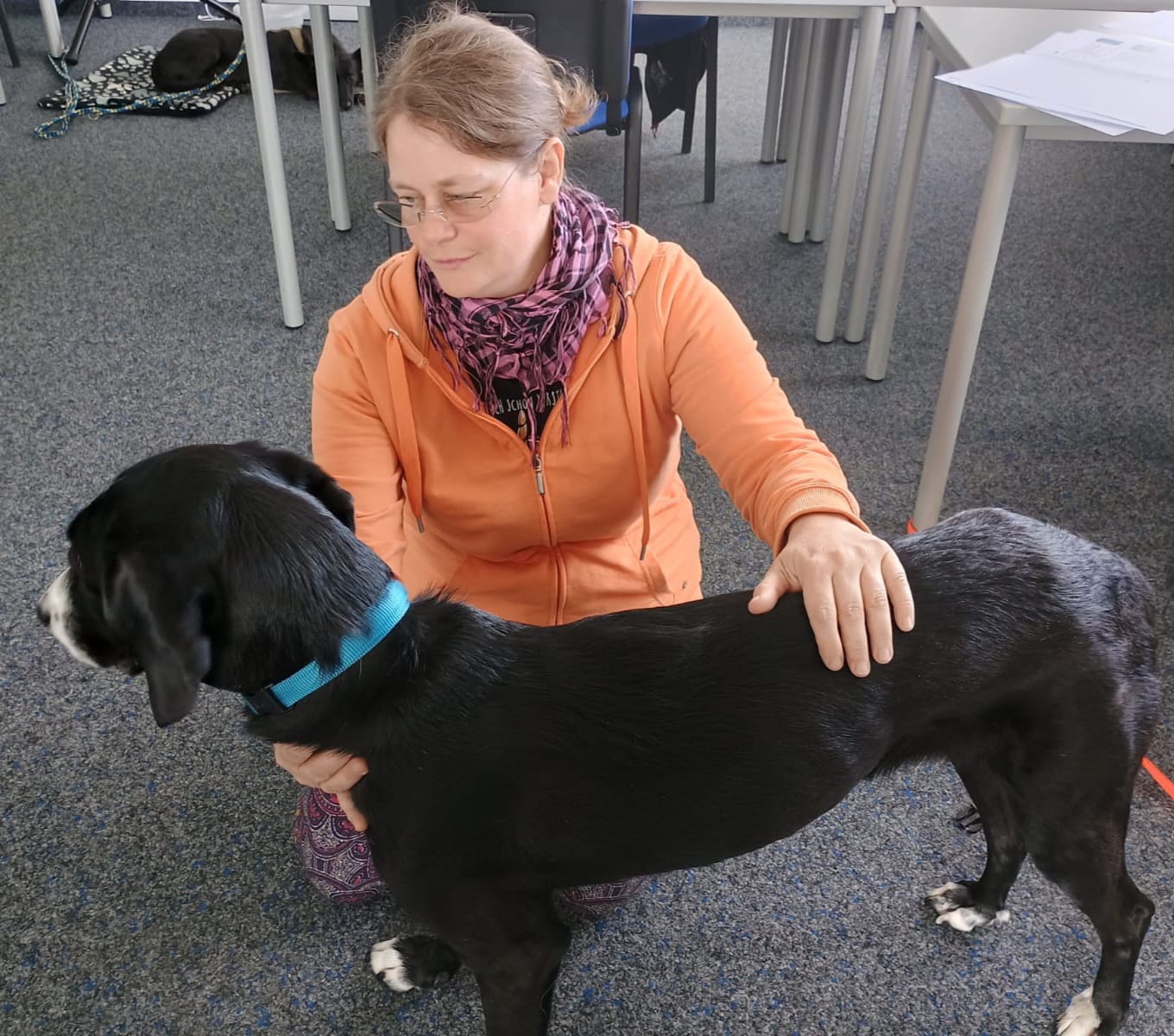 Du betrachtest gerade Warum Physio für den Hund?