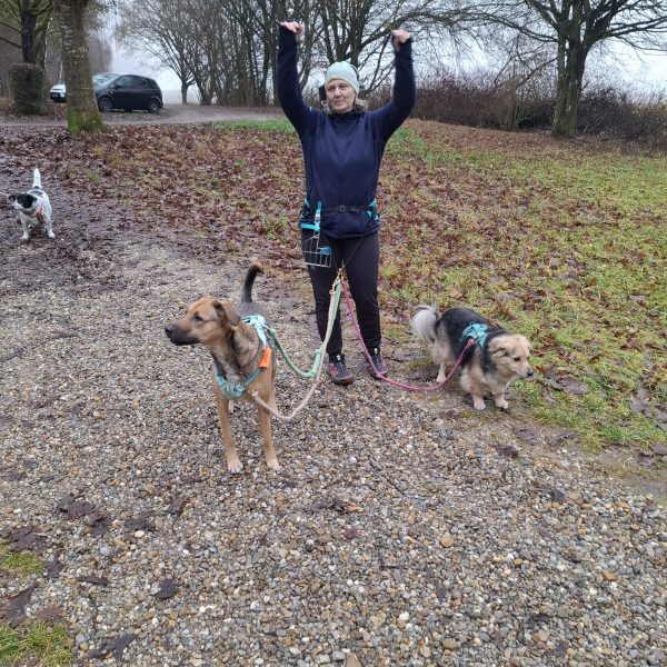 Cool dowm beim Gassi näxt Level