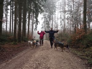 Warm up beim Gassi näxt Level