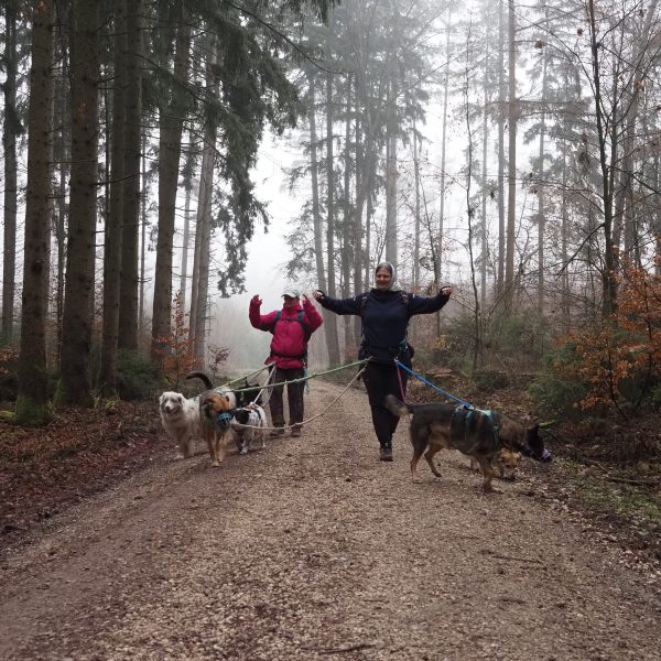 Warm up beim Gassi näxt Level