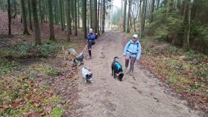 Warm up beim Gassi näxt Level