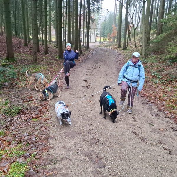 Warm up beim Gassi näxt Level