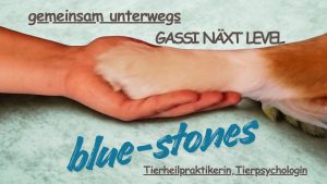 Logo blue-stones